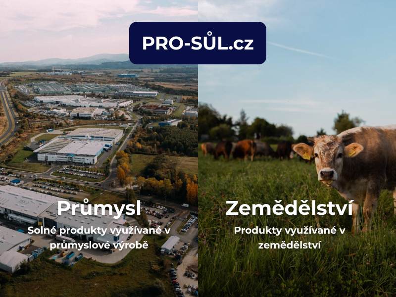 Pro sůl